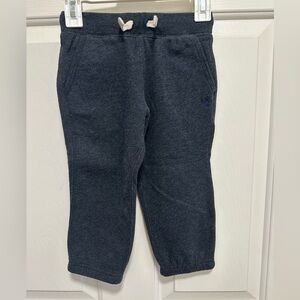 Ralph Lauren Fleece Blue Jogger Pants Size 2T